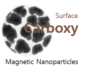 FlammaBead® Magnetic, carboxylated