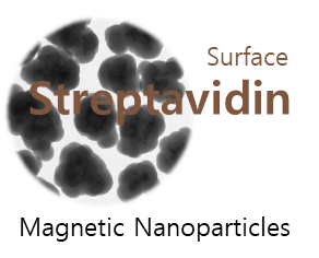 FlammaBead® Magnetic, streptavidin