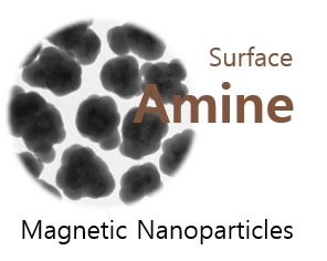 FlammaBead® Magnetic, amine